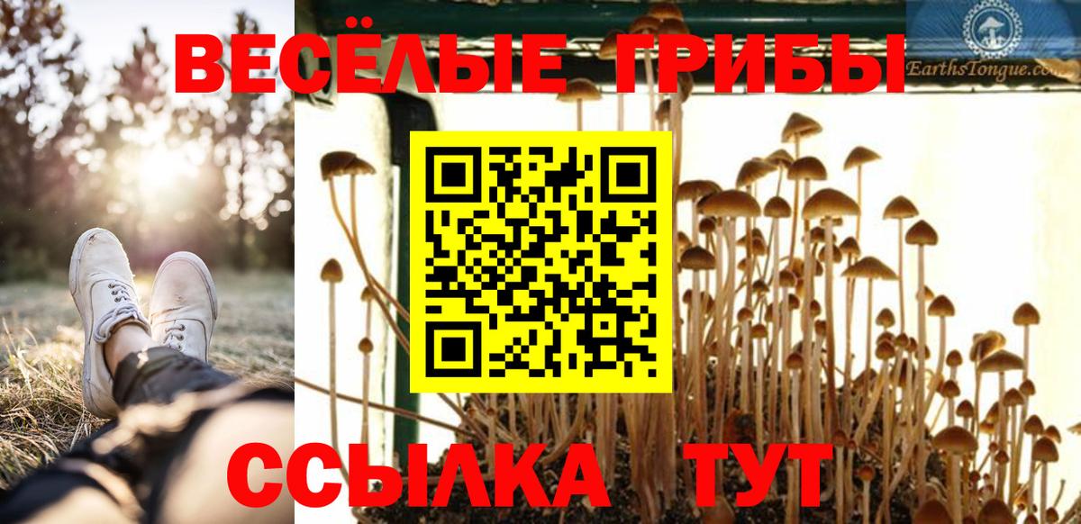 Псилоцибиновые грибы мицелий Нововоронеж