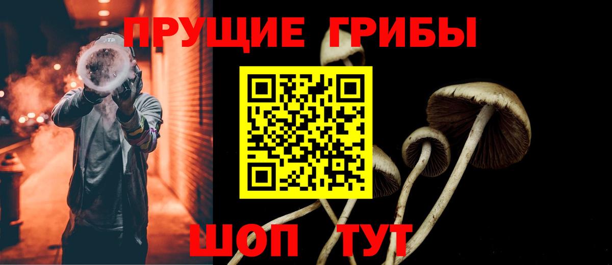 Нововоронеж  Псилоцибиновые грибы MAGIC MUSHROOMS  Вход с VPN  Псилоцибиновые грибы прущие грибы 