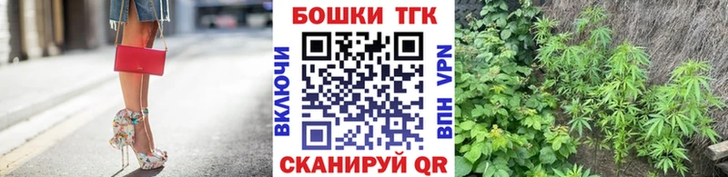 Бошки Шишки марихуана Нововоронеж